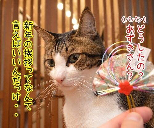 元旦だから新年のご挨拶 猫の写真で4コマ漫画 2コマ目ッ