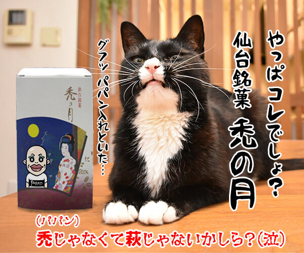 フルーツタルトにゃんことロールケーキにゃんこ　猫の写真で４コマ漫画　４コマ目ッ