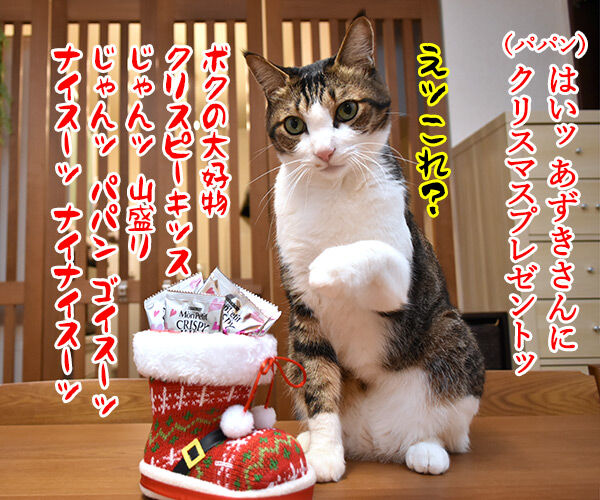 あずきさんとだいずさんにクリスマスプレゼントなのッ　猫の写真で４コマ漫画　１コマ目ッ