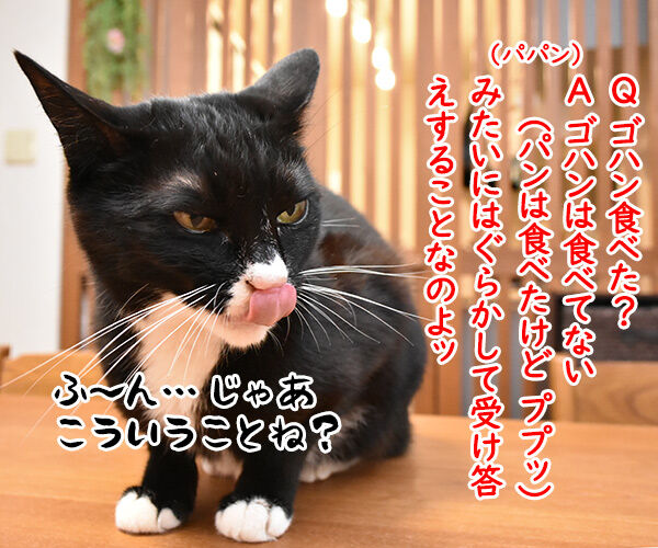 流行語大賞 ノミネート語 『ご飯論法』 猫の写真で4コマ漫画 2コマ目ッ