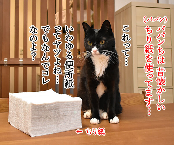 みんなウンチョスはどうやって片づけてるの? 猫の写真で4コマ漫画 3コマ目ッ