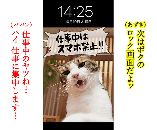 猫に叱られたい人のためのロック画面なのッ 猫の写真で4コマ漫画 3コマ目ッ