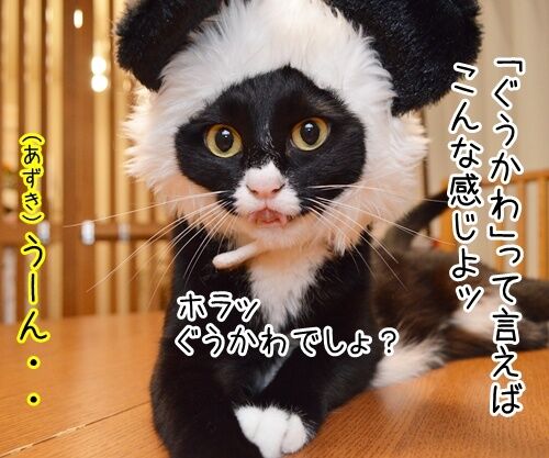 「ぐうかわ」ってどんな意味なの? 猫の写真で4コマ漫画 2コマ目ッ
