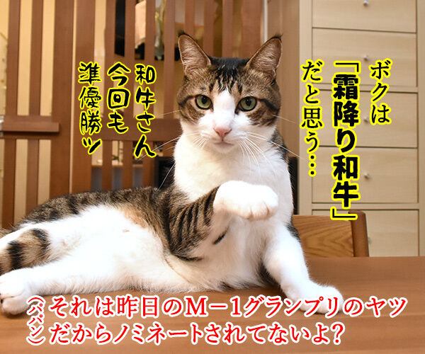 きょうは流行語大賞の発表日なのッ 猫の写真で4コマ漫画 3コマ目ッ