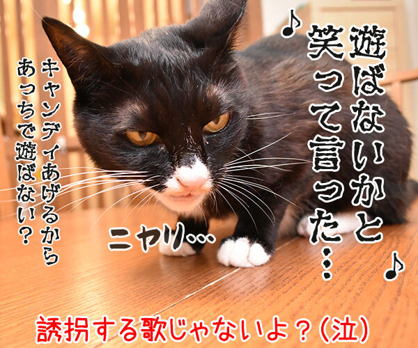 くちぶえふいてあきちへいったら あずきさんとだいずさん Powered By ライブドアブログ