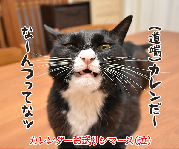 カレンダープレゼントにたくさんのご応募アリガトゴザマースッ 猫の写真で4コマ漫画 4コマ目ッ