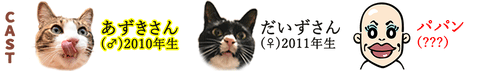 jikosyokai_azudaipapan_1_2