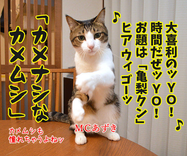 mcあずきのヒップホップ大喜利 あずきさんとだいずさん Powered By ライブドアブログ mcあずきのヒップホップ大喜利 あずきさんとだいずさん Powered By ライブドアブログ