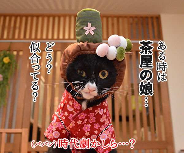 この秋オススメのドラマは？　猫の写真で４コマ漫画　２コマ目ッ