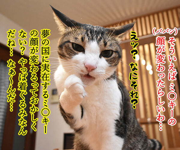 今日は東京ディ〇ニーランドが開園した日なんですってッ 猫の写真で4コマ漫画 2コマ目ッ