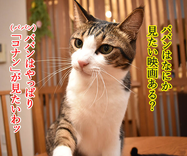 ゴールデンウィークは映画を見ようッ 猫の写真で4コマ漫画 2コマ目ッ
