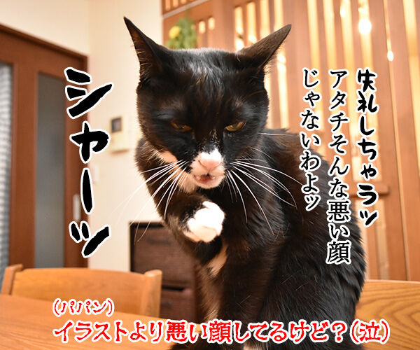 『うちの犬が子ネコ拾いました。』第2巻は6月26日発売なのよッ 猫の写真で4コマ漫画 4コマ目ッ