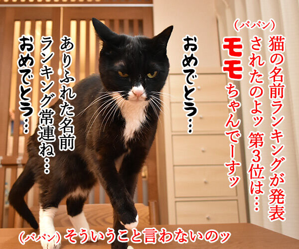 猫の名前ランキング大調査19 結果発表 あずきさんとだいずさん Powered By ライブドアブログ 猫の名前ランキング大調査19 結果発表 あずきさんとだいずさん Powered By ライブドアブログ