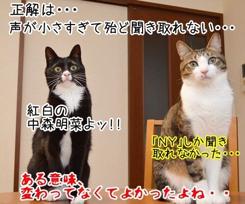 モノマネ当てクイズ 猫の写真で4コマ漫画 4コマ目ッ