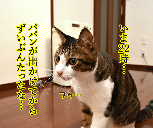 泣けちゃう漫画『おじさまと猫』って知ってる？　猫の写真で４コマ漫画　１コマ目ッ