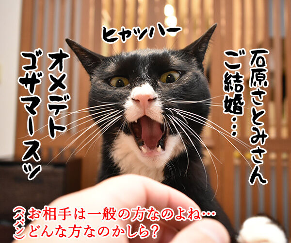 石原さとみさん ご結婚オメデトゴザマース あずきさんとだいずさん