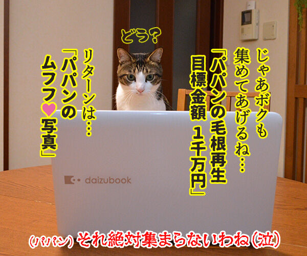 FIPにはMUTIANって薬がいいみたいなのッ 猫の写真で4コマ漫画 4コマ目ッ