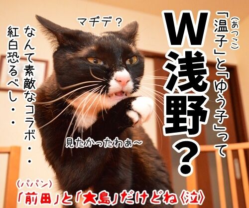 第66回NHK紅白歌合戦は紅組が勝利 猫の写真で4コマ漫画 4コマ目ッ
