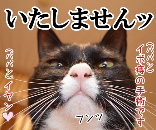 ドクターＸ 其の一 : あずきさんとだいずさん Powered by ライブドアブログ