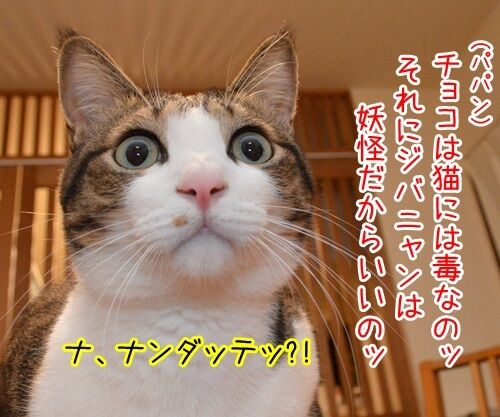 ジバニャンのチョコボー　猫の写真で４コマ漫画　２コマ目ッ