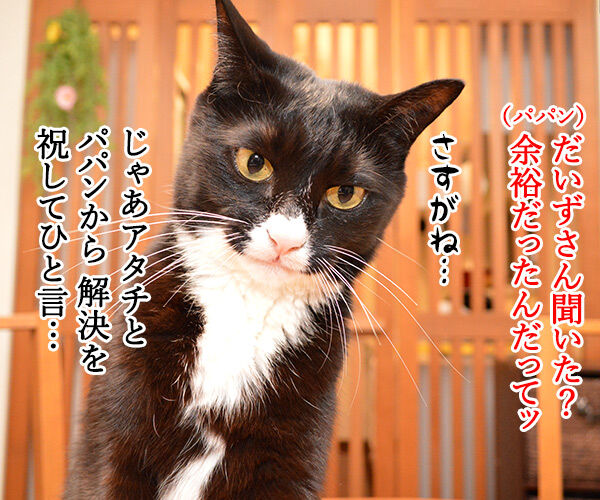 あずきさんのウンチョスのはなし 其の四 猫の写真で4コマ漫画 3コマ目ッ