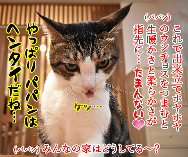 みんなウンチョスはどうやって片づけてるの? 猫の写真で4コマ漫画 4コマ目ッ