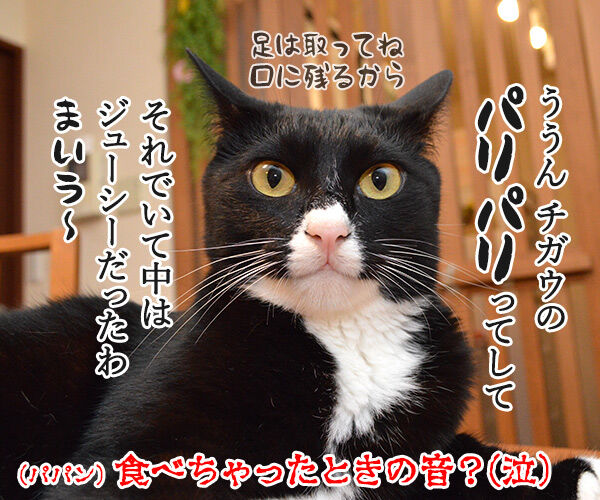 セミの声 あずきさんとだいずさん Powered By ライブドアブログ セミの声 あずきさんとだいずさん Powered By ライブドアブログ