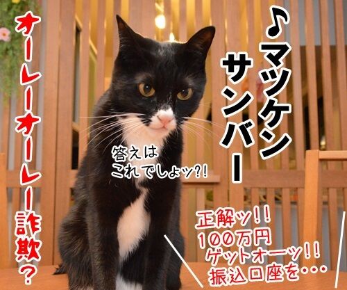 オレオレ詐欺　猫の写真で４コマ漫画　４コマ目ッ