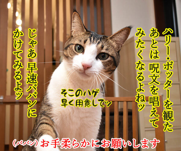 ハリー ポッター を観た後は あずきさんとだいずさん Powered By ライブドアブログ ハリー ポッター を観た後は あずきさんとだいずさん Powered By ライブドアブログ