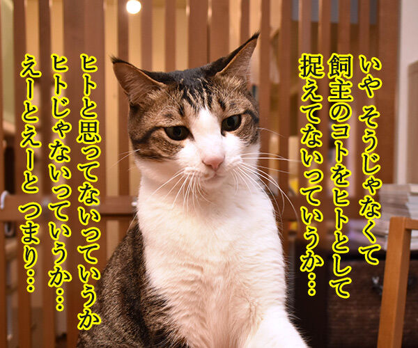 ネコは飼い主をネコと思っている? 猫の写真で4コマ漫画 3コマ目ッ