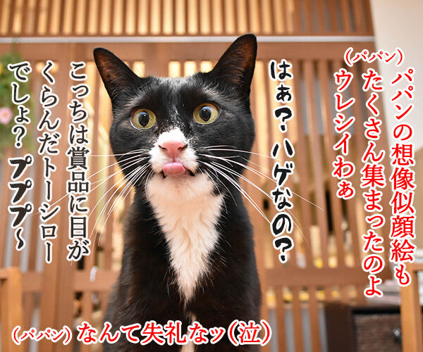 ブログのロゴを変えてみたのよッ 猫の写真で4コマ漫画 3コマ目ッ
