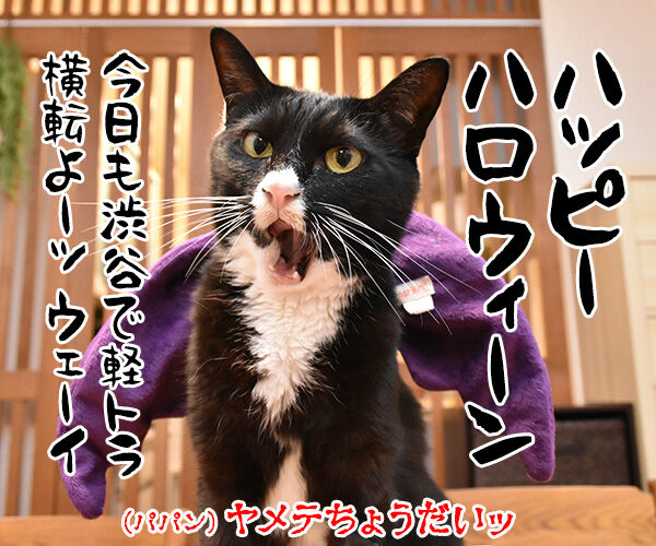 ハロウィンだからトリック オア トリートッ　猫の写真で４コマ漫画　１コマ目ッ