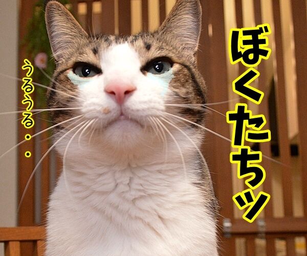 門出の言葉 僕たち わたしたちは あずきさんとだいずさん Powered By ライブドアブログ