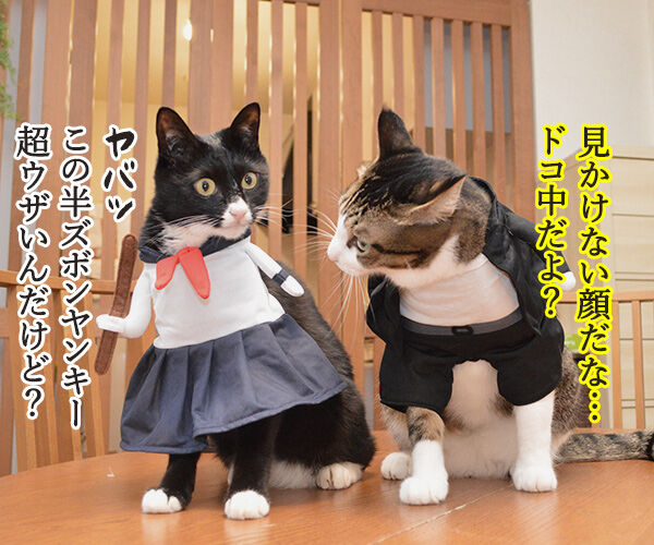 ヤンキーあずきとスケバンだいず あずきさんとだいずさん ヤンキーあずきとスケバンだいず あずきさんとだいずさん