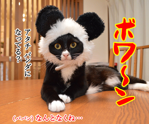 なりたい動物になれるクスリ あずきさんとだいずさん