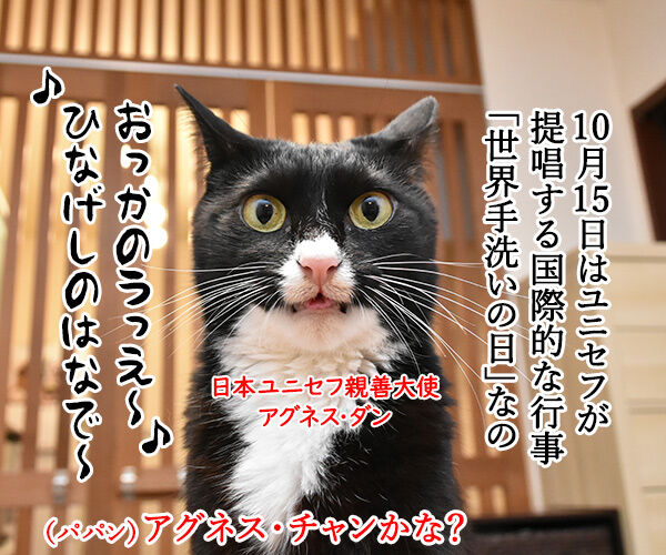 10月15日は『世界手洗いの日』なんですってッ 猫の写真で4コマ漫画 1コマ目ッ