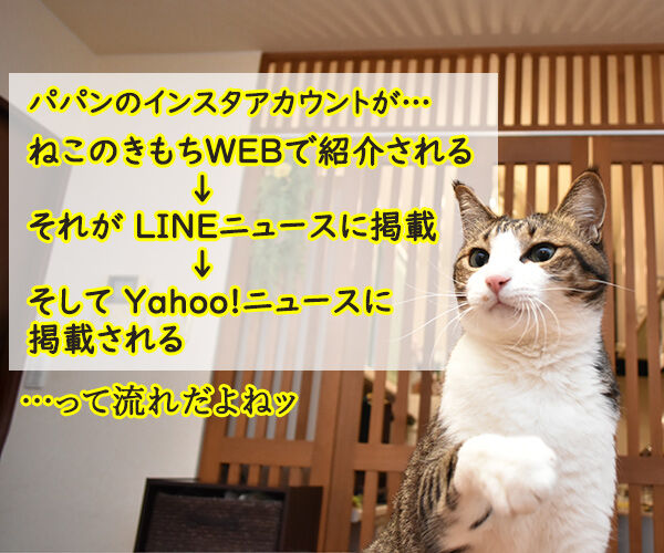 ヤフーニュースでパパンのインスタが紹介されたのよッ あずきさんとだいずさん Powered By ライブドアブログ ヤフーニュースでパパンのインスタが紹介されたのよッ あずきさんとだいずさん Powered By ライブドアブログ