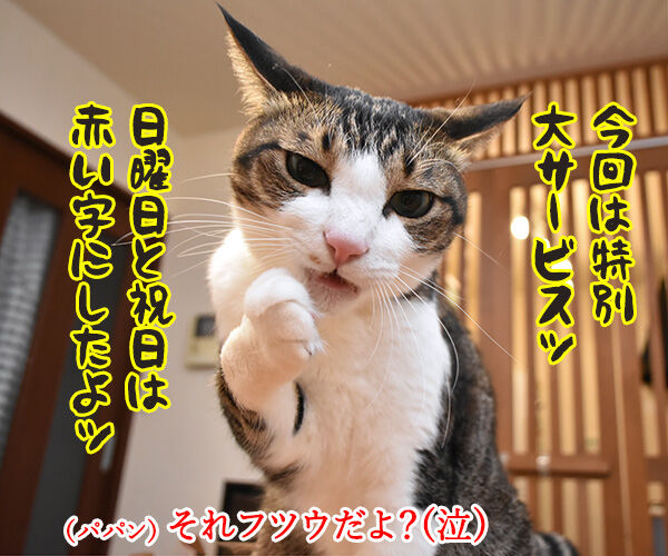 あずだいカレンダー 販売開始デースッ　猫の写真で４コマ漫画　３コマ目ッ