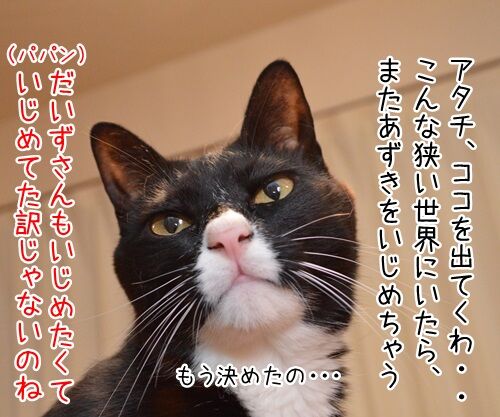 イジメ・ダメ・ゼッタイ 猫の写真で4コマ漫画 3コマ目ッ