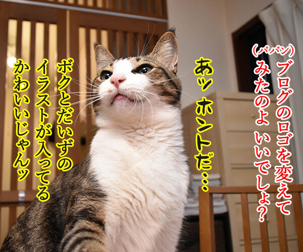 ブログのロゴを変えてみたのよッ　猫の写真で４コマ漫画　１コマ目ッ