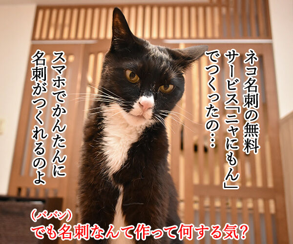 『ニャにもん』で猫の名刺データが作れるのよッ 猫の写真で4コマ漫画 2コマ目ッ