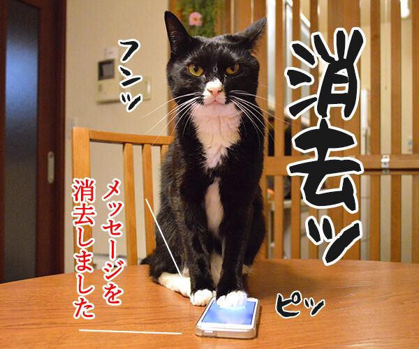 1件の新しいメッセージ 猫の写真で4コマ漫画 4コマ目ッ