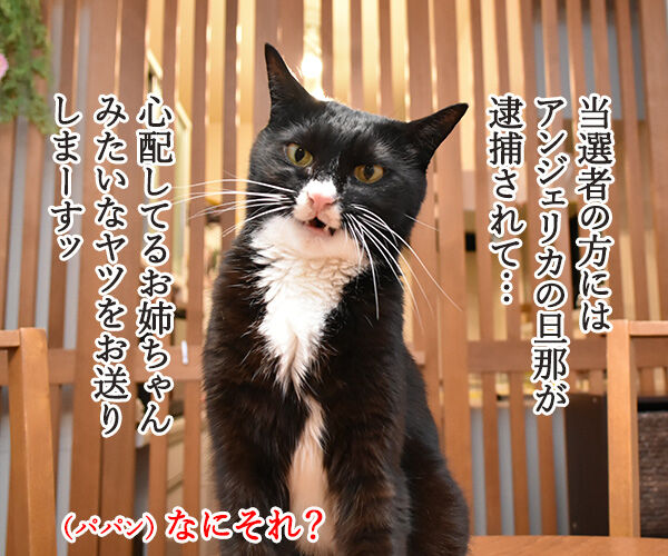 カレンダープレゼントにたくさんのご応募アリガトゴザマースッ 猫の写真で4コマ漫画 3コマ目ッ
