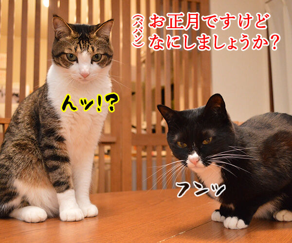 お正月にするコト 猫の写真で4コマ漫画 1コマ目ッ