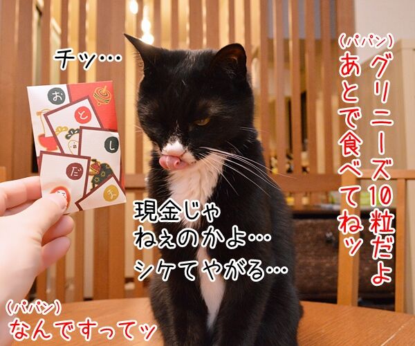 お正月だからあずだいにお年玉あげるわよッ　猫の写真で４コマ漫画　２コマ目ッ