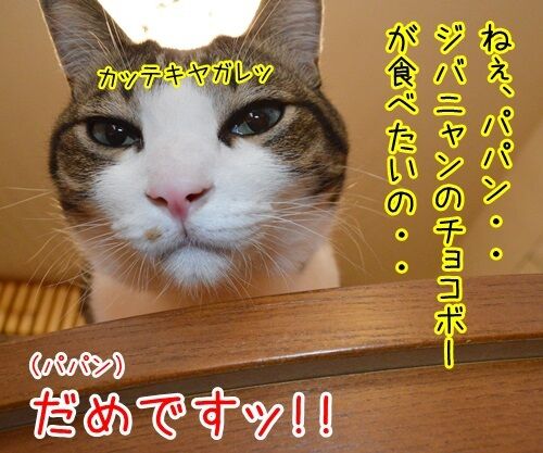 ジバニャンのチョコボー　猫の写真で４コマ漫画　１コマ目ッ