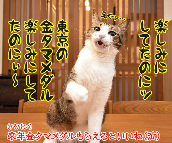 東京オリンピックが一年延期なんですってッ　猫の写真で４コマ漫画　４コマ目ッ