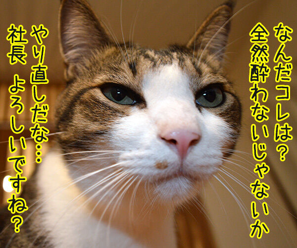マタタビーX 猫の写真で4コマ漫画 3コマ目ッ