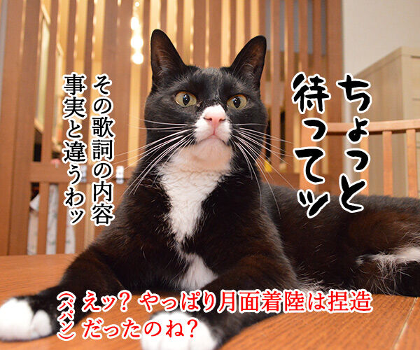 月面着陸の日だから「アポロ」を唄うのよッ 猫の写真で4コマ漫画 3コマ目ッ