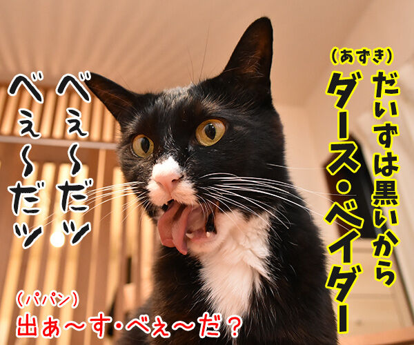 スター・ウォーズごっこするよーッ 猫の写真で4コマ漫画 3コマ目ッ